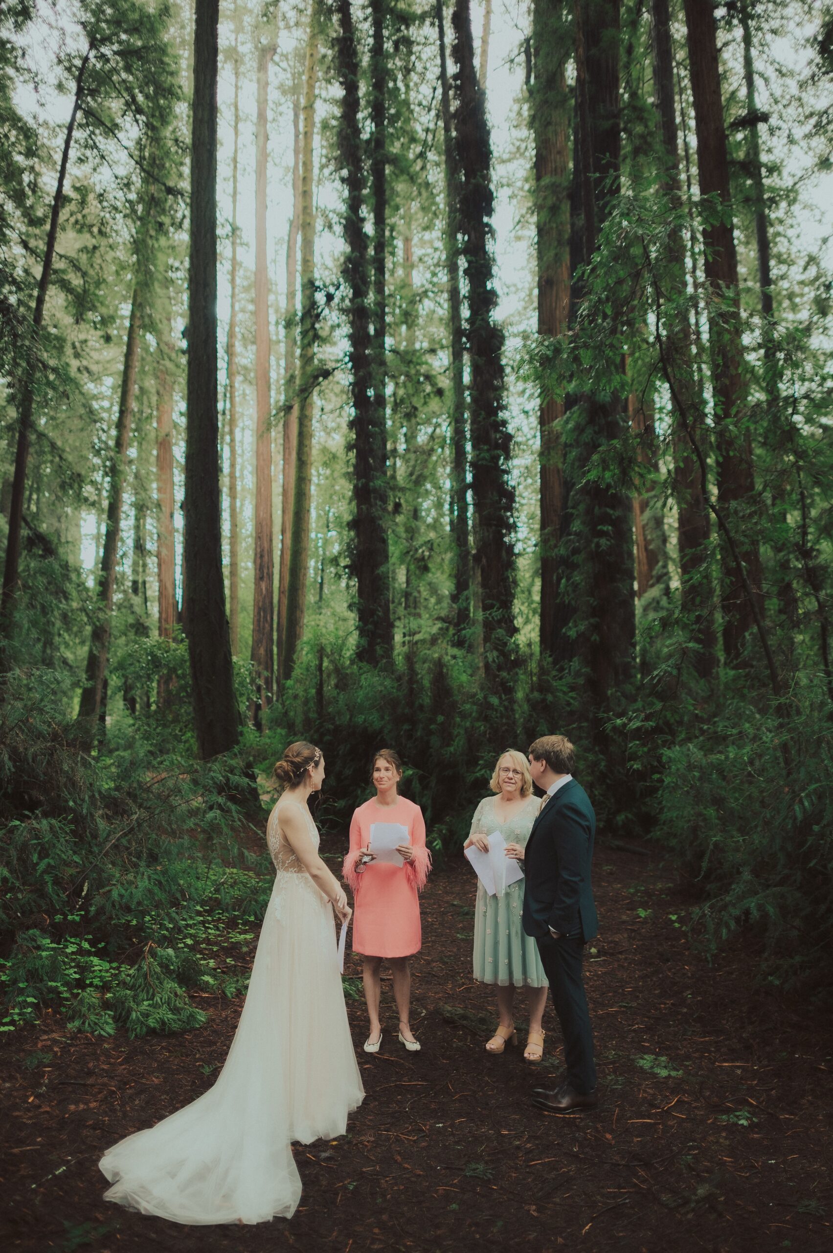 Henry Cowell Redwoods State Park Wedding, Woodhouse Brewery Wedding, Santa Cruz Wedding, James Lester Photography