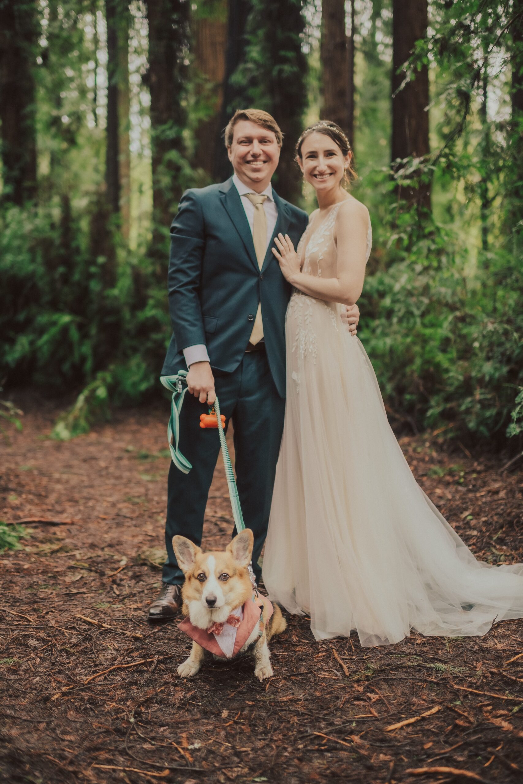 Henry Cowell Redwoods State Park Wedding, Woodhouse Brewery Wedding, Santa Cruz Wedding, James Lester Photography