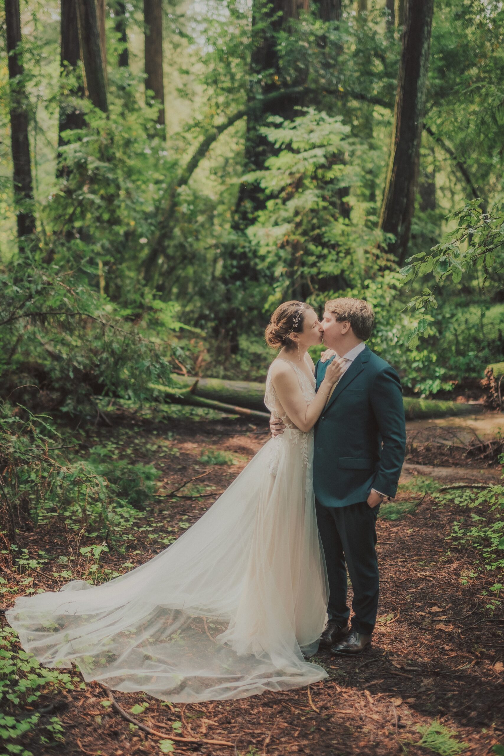 Henry Cowell Redwoods State Park Wedding, Woodhouse Brewery Wedding, Santa Cruz Wedding, James Lester Photography