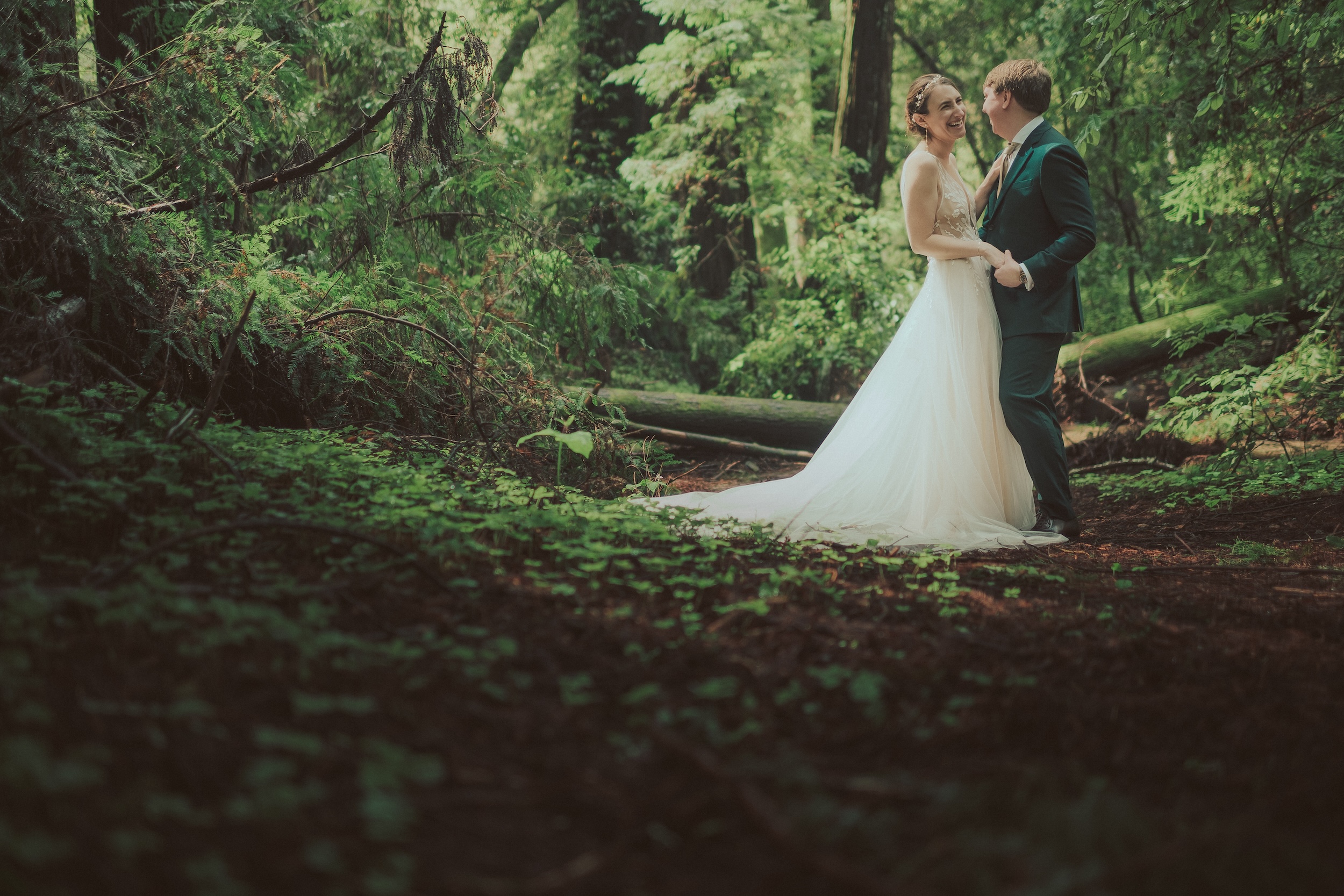 Henry Cowell Redwoods State Park Wedding, Woodhouse Brewery Wedding, Santa Cruz Wedding, James Lester Photography