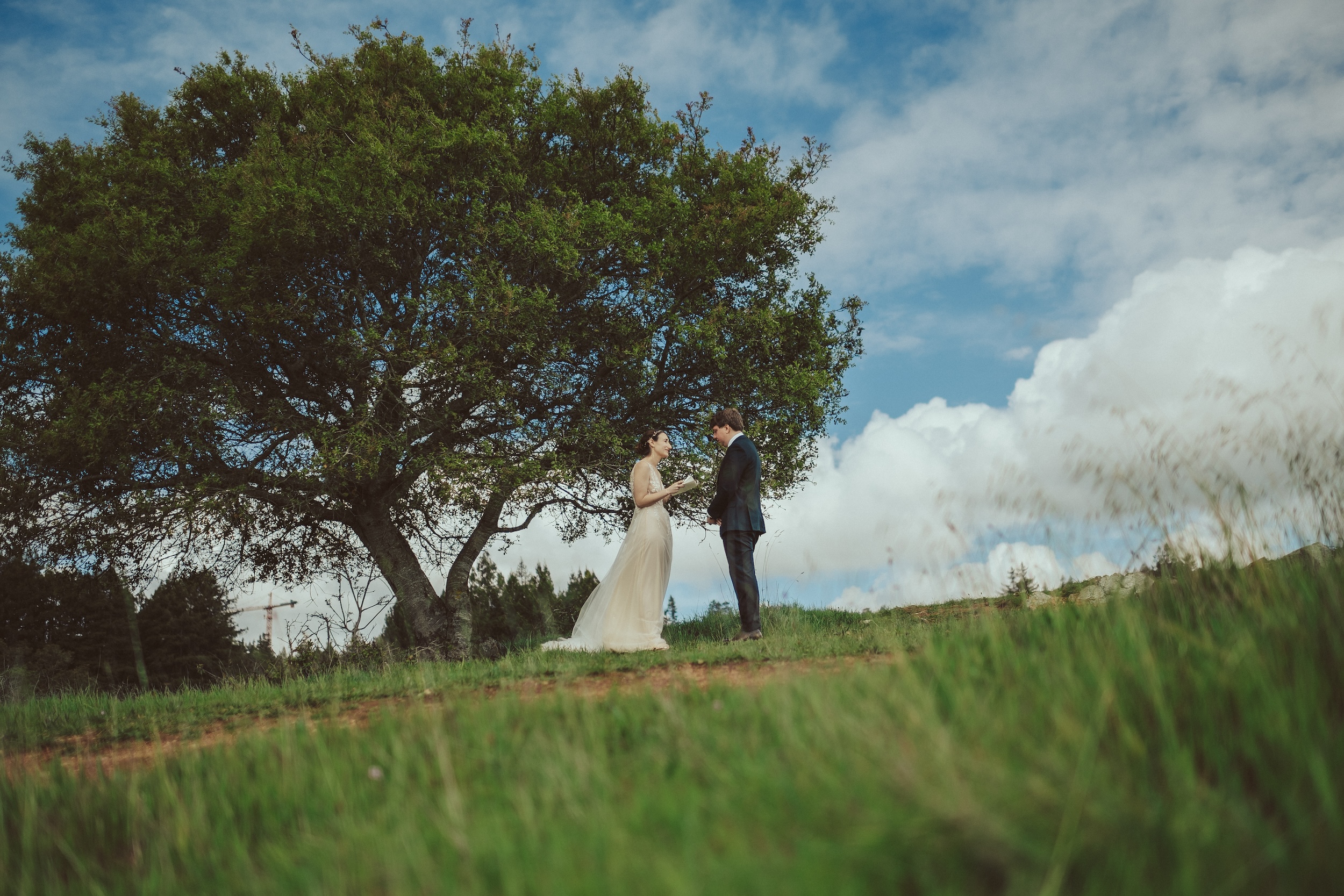 Henry Cowell Redwoods State Park Wedding, Woodhouse Brewery Wedding, Santa Cruz Wedding, James Lester Photography