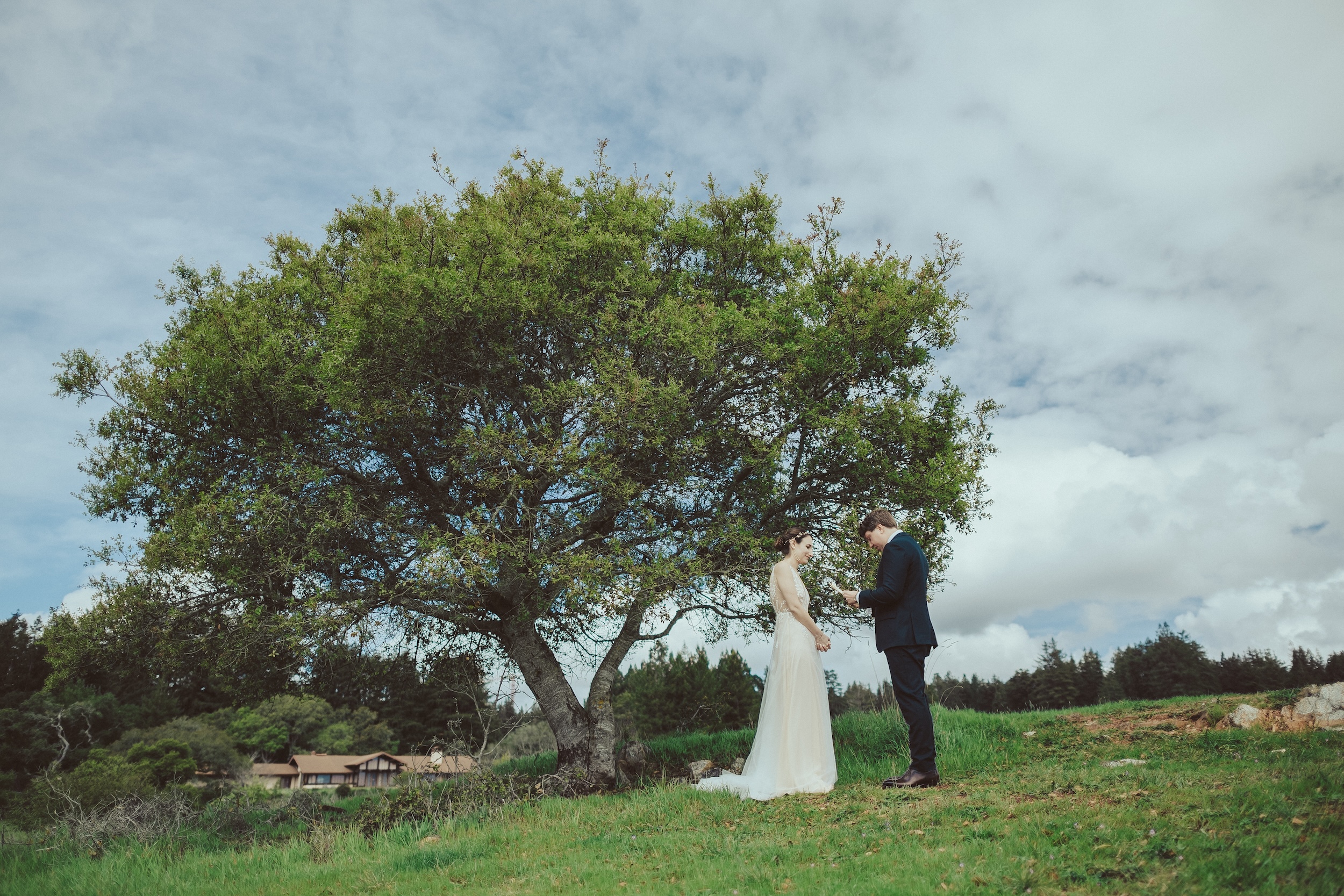 Henry Cowell Redwoods State Park Wedding, Woodhouse Brewery Wedding, Santa Cruz Wedding, James Lester Photography