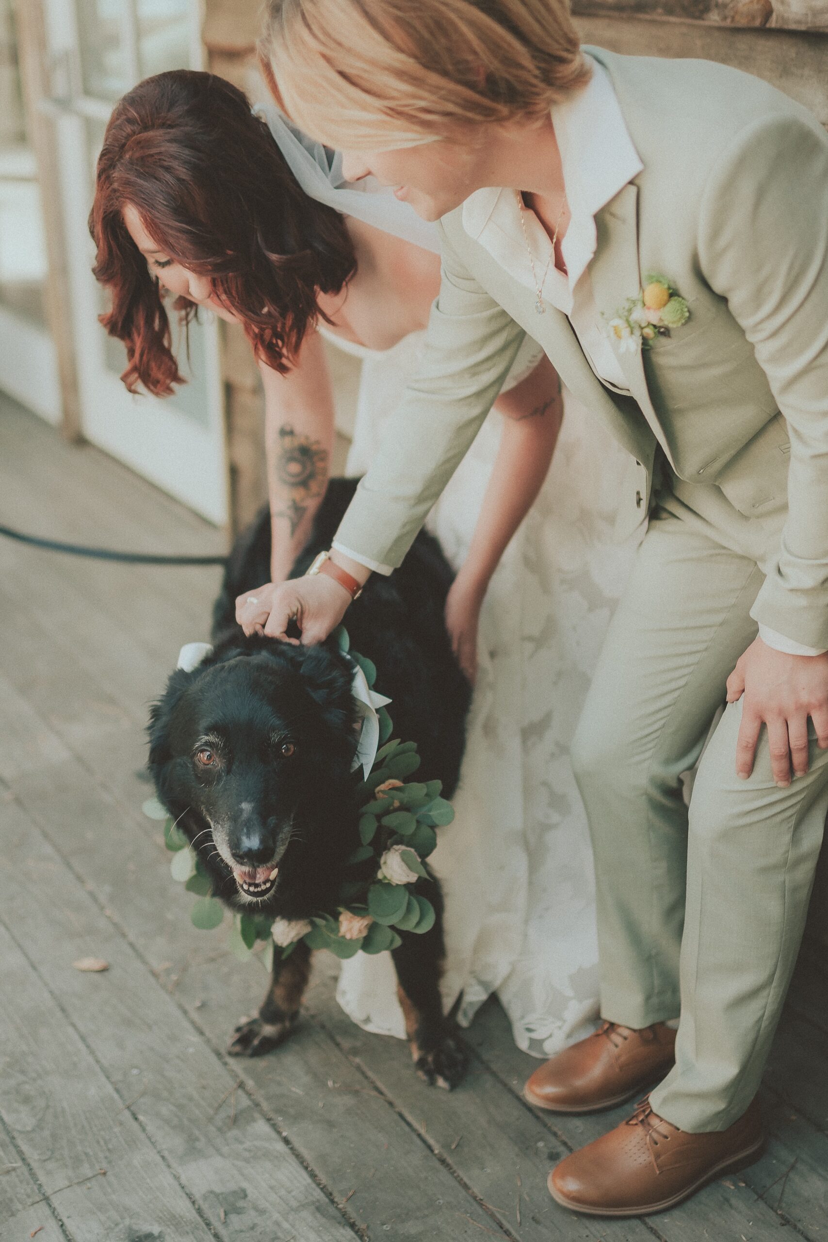 Dog at Wedding Ceremony Camp Ocean Pines