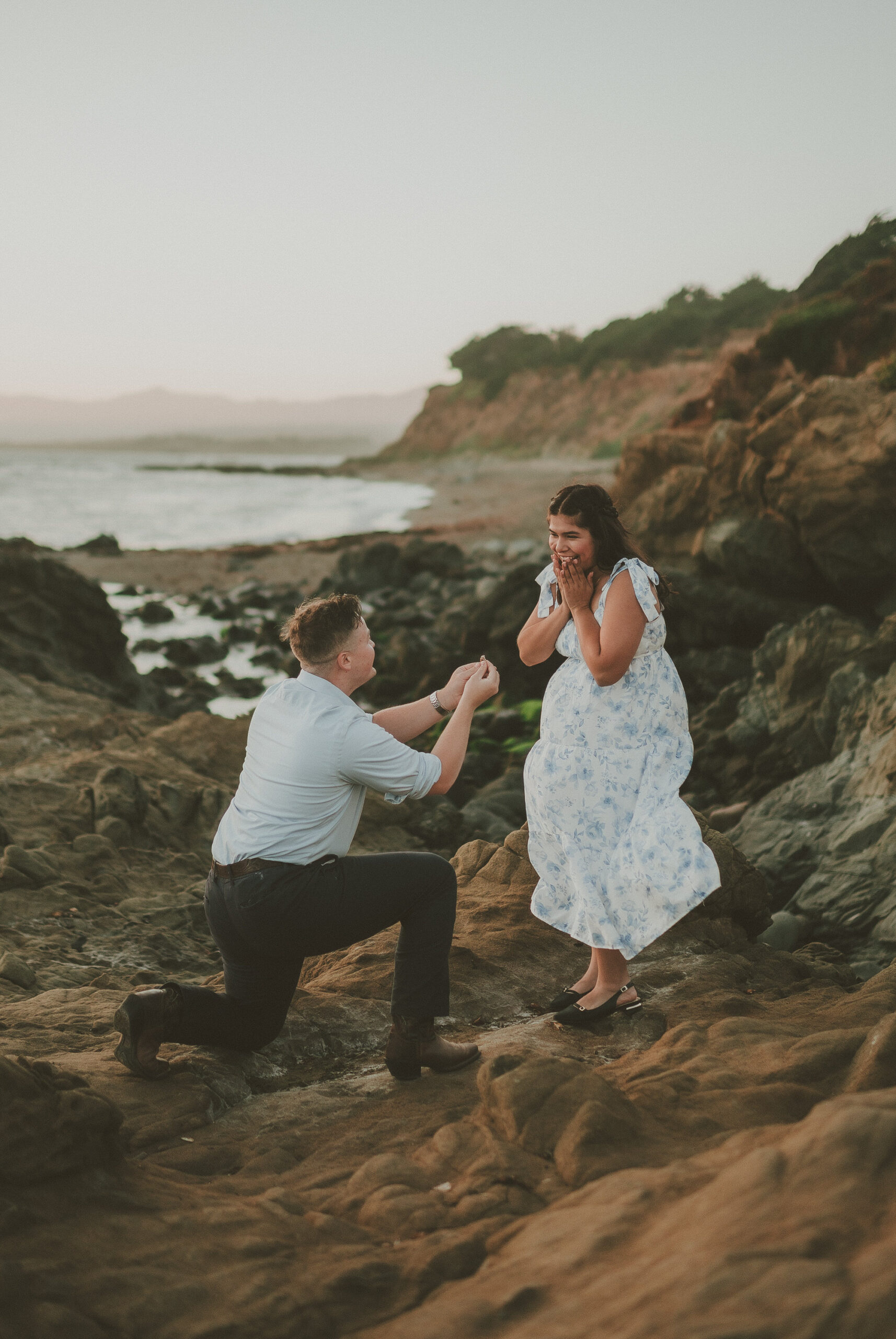 alissa-jaydon-surprise-proposal-69