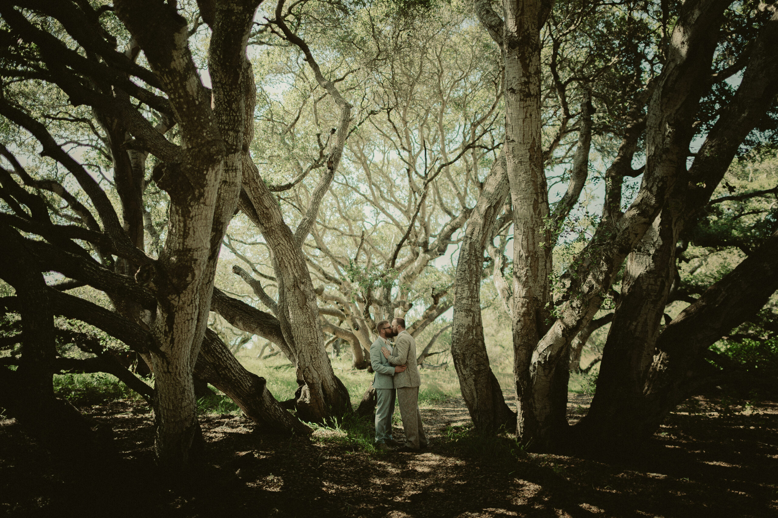 Austen and John embracing beneath a sweeping canopy of sculptural oak branches