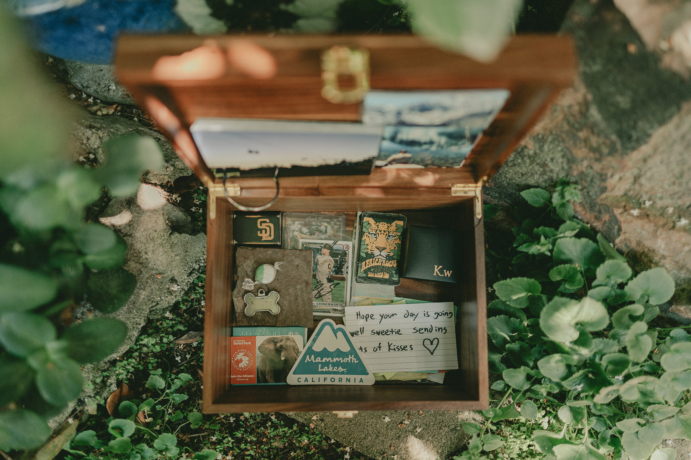 A wooden keepsake box of handwritten notes and personal mementos resting among garden leaves.